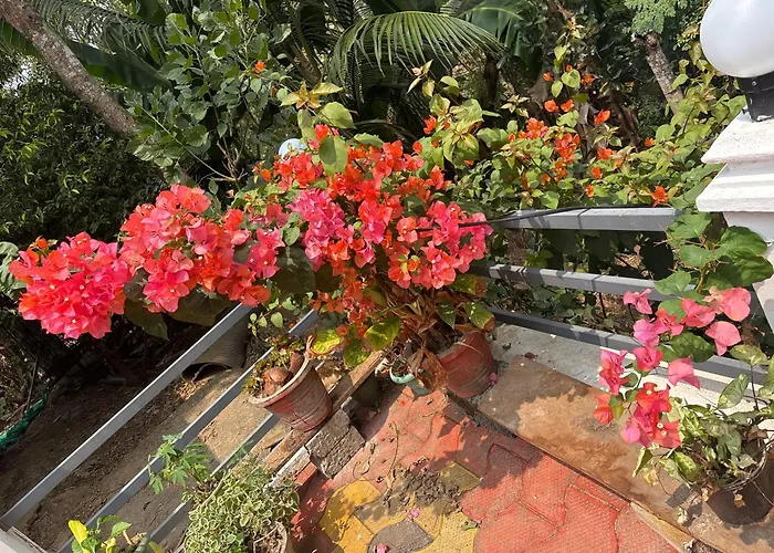 Casa Grande Homestay Anaviratty Munnar