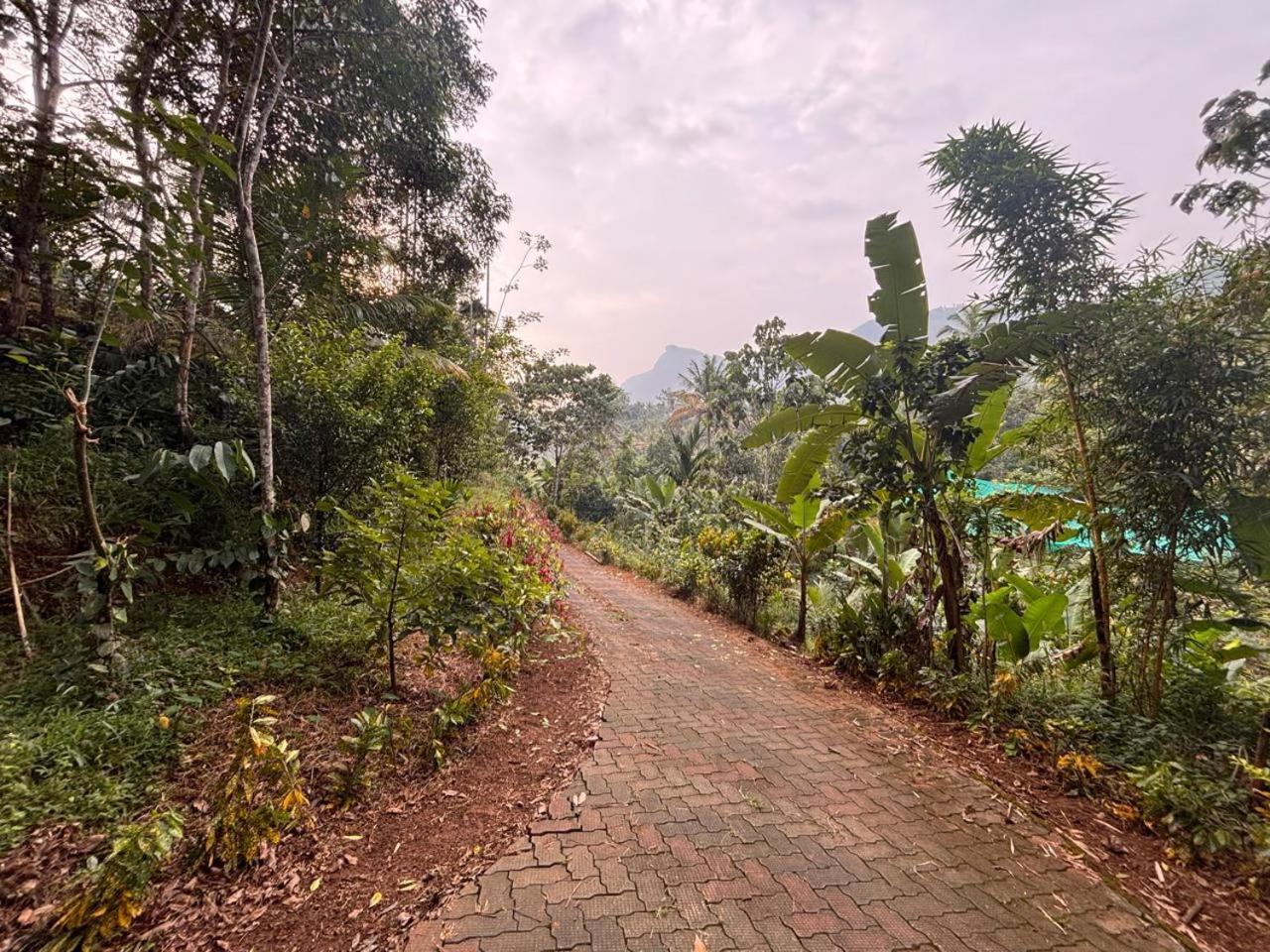 Casa Grande Munnar