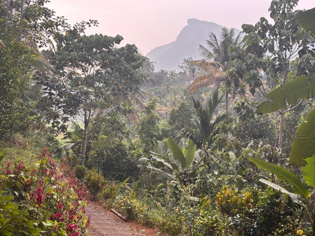 Casa Grande Munnar Homestay