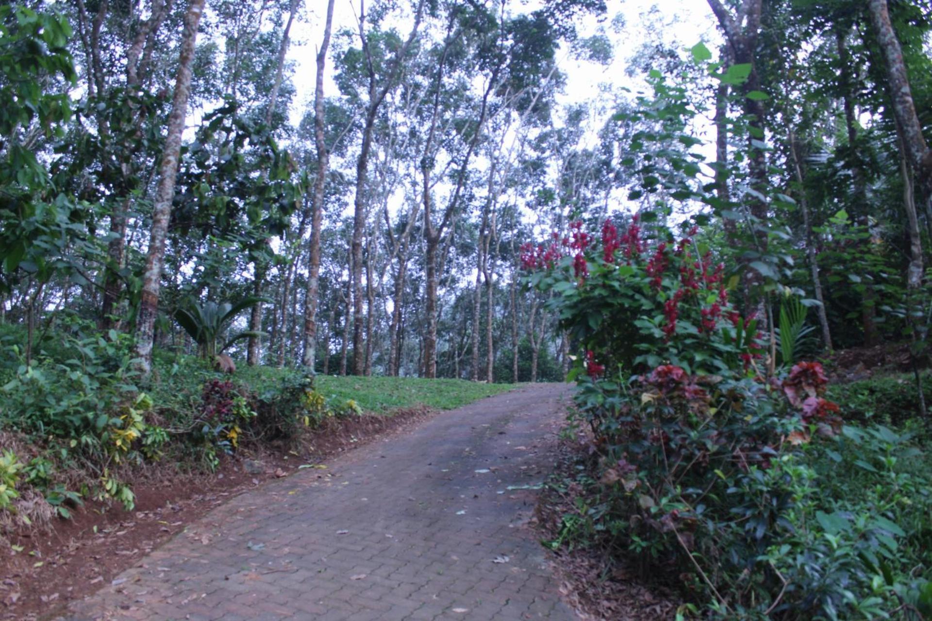Casa Grande Munnar Homestay Anaviratty