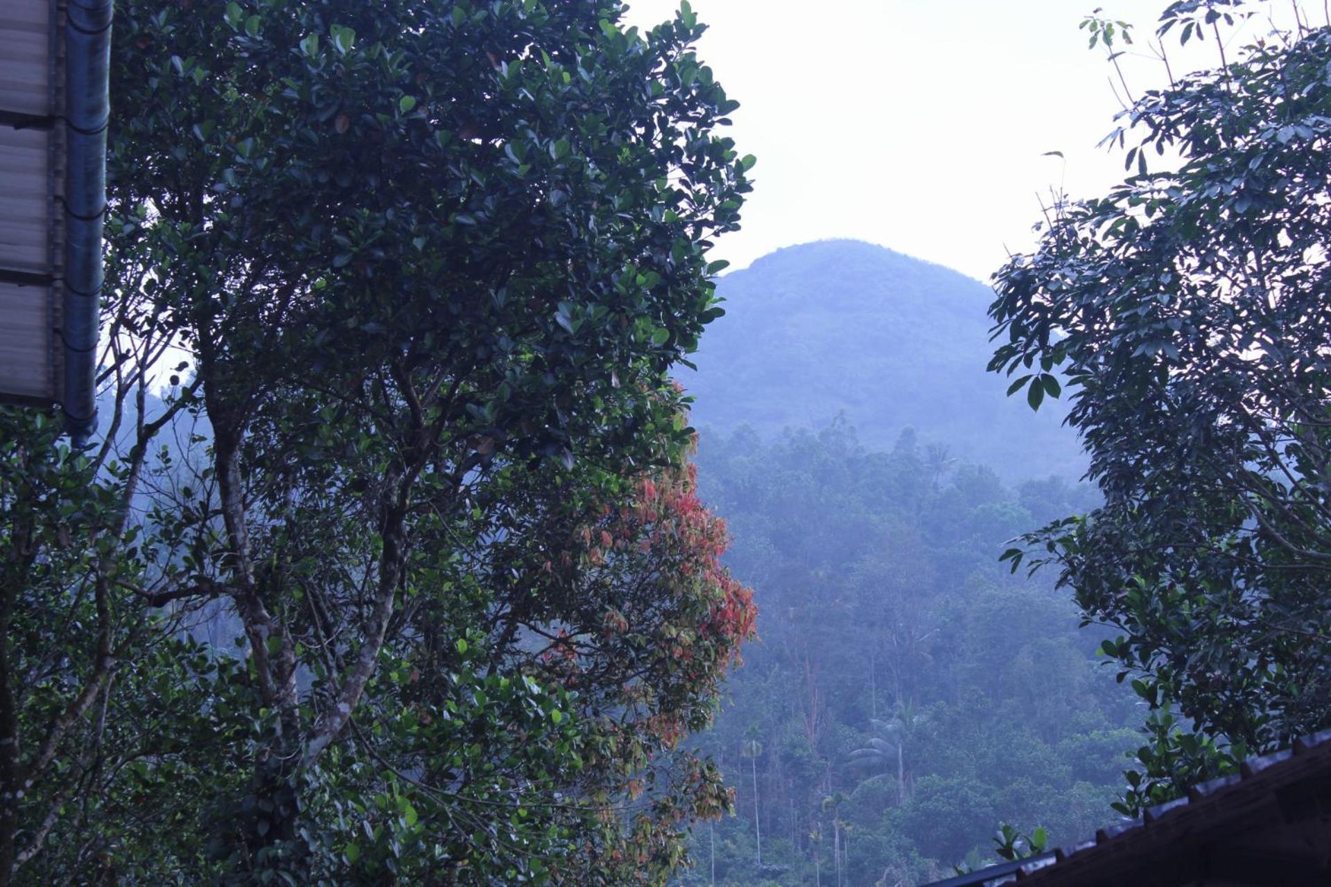 Homestay Casa Grande Munnar Anaviratty