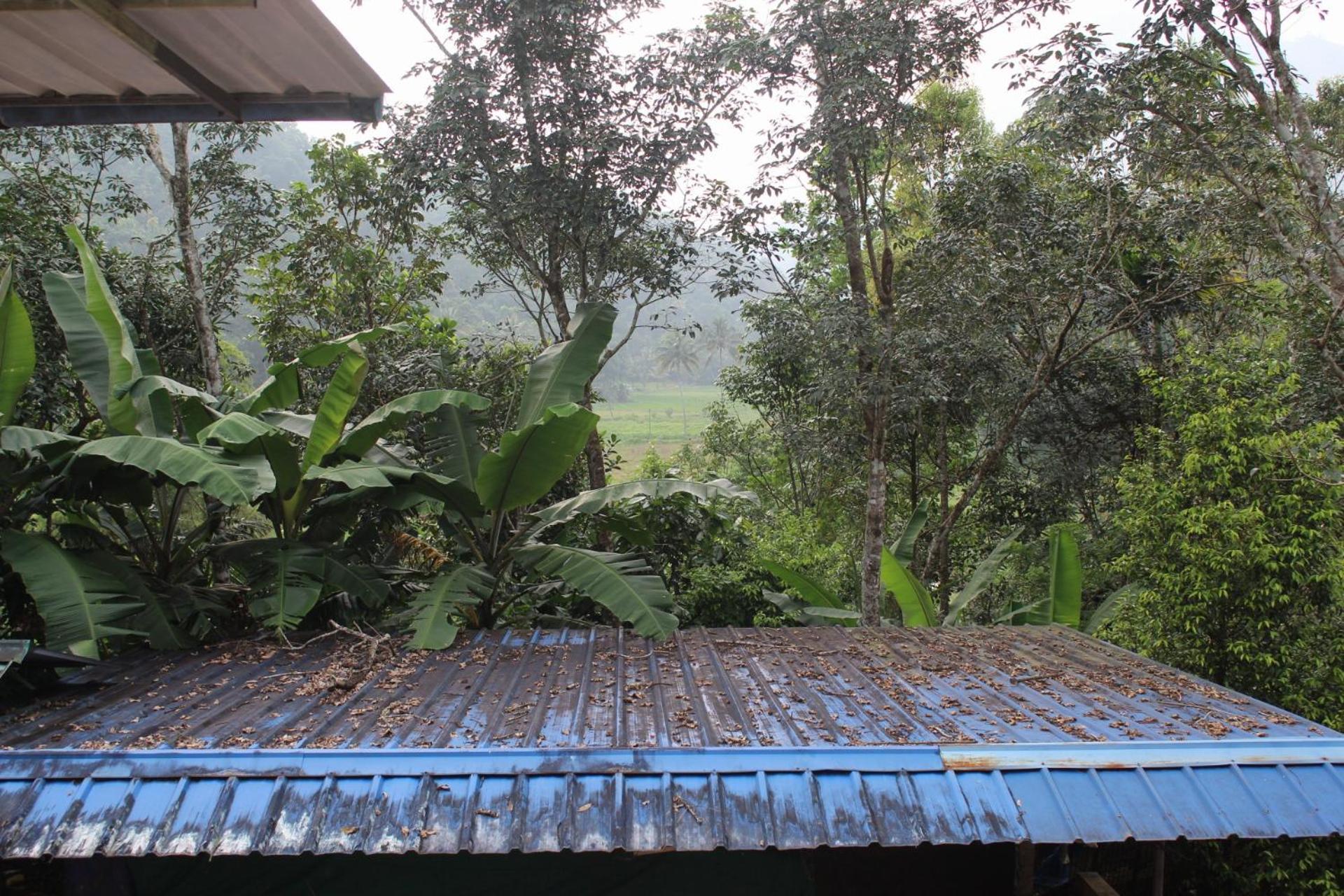 Casa Grande Munnar * Anaviratty