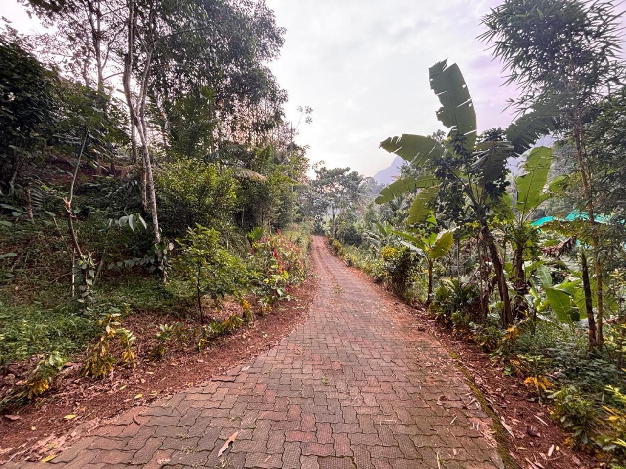 Homestay Casa Grande Munnar *