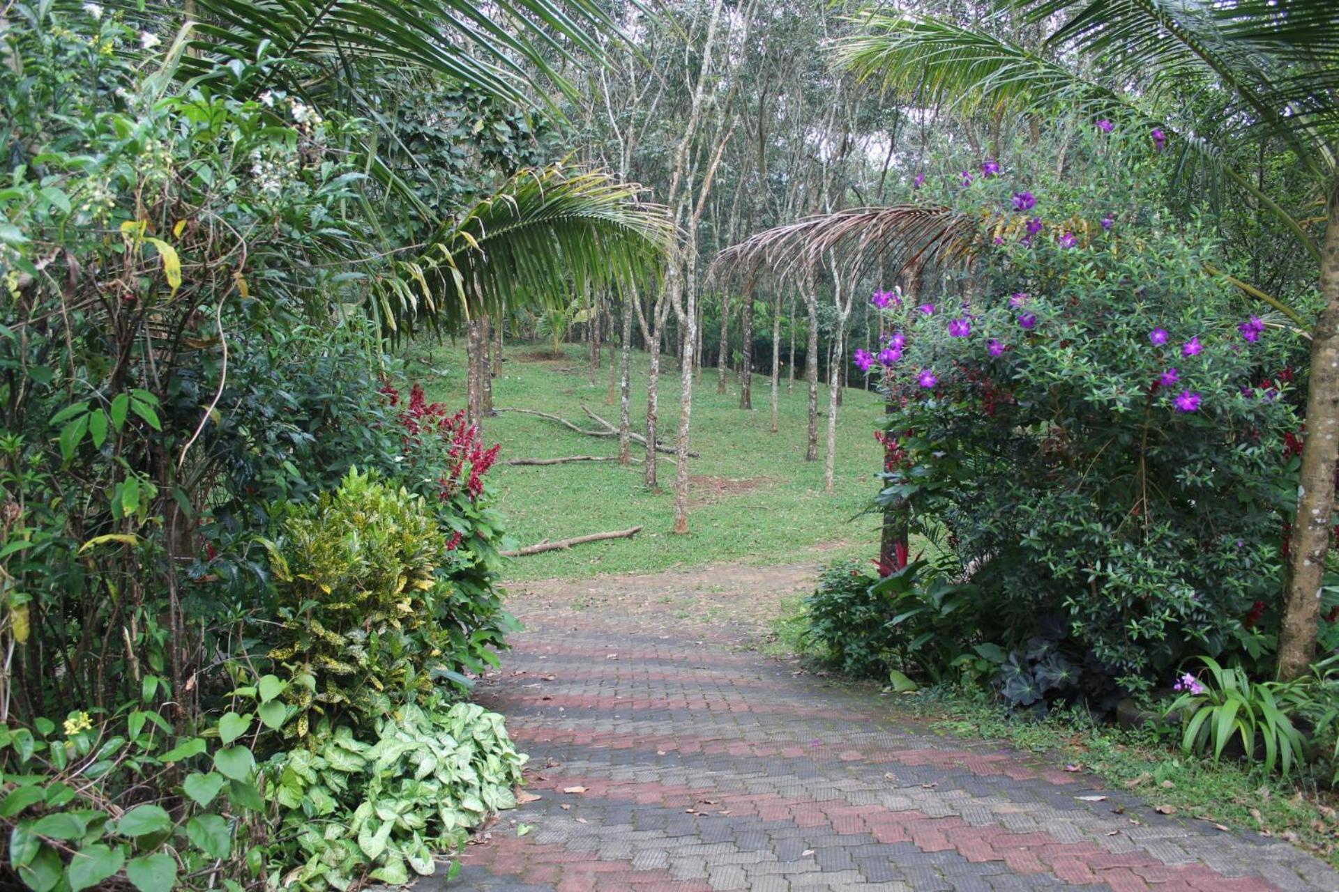 Casa Grande Munnar