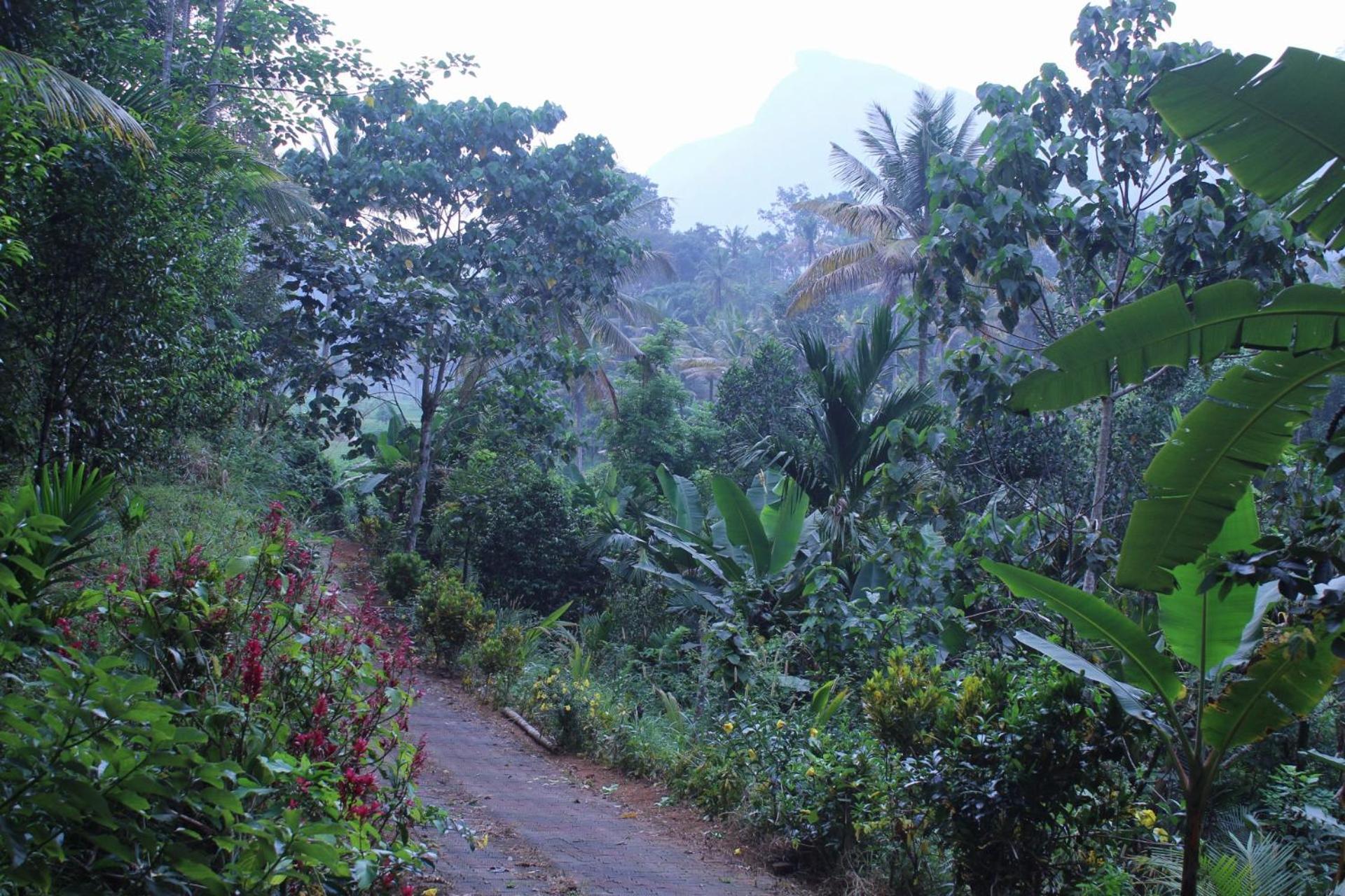 Casa Grande Munnar * Anaviratty