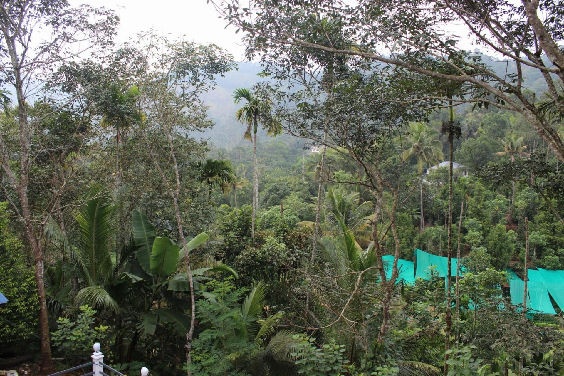 Homestay Casa Grande Munnar