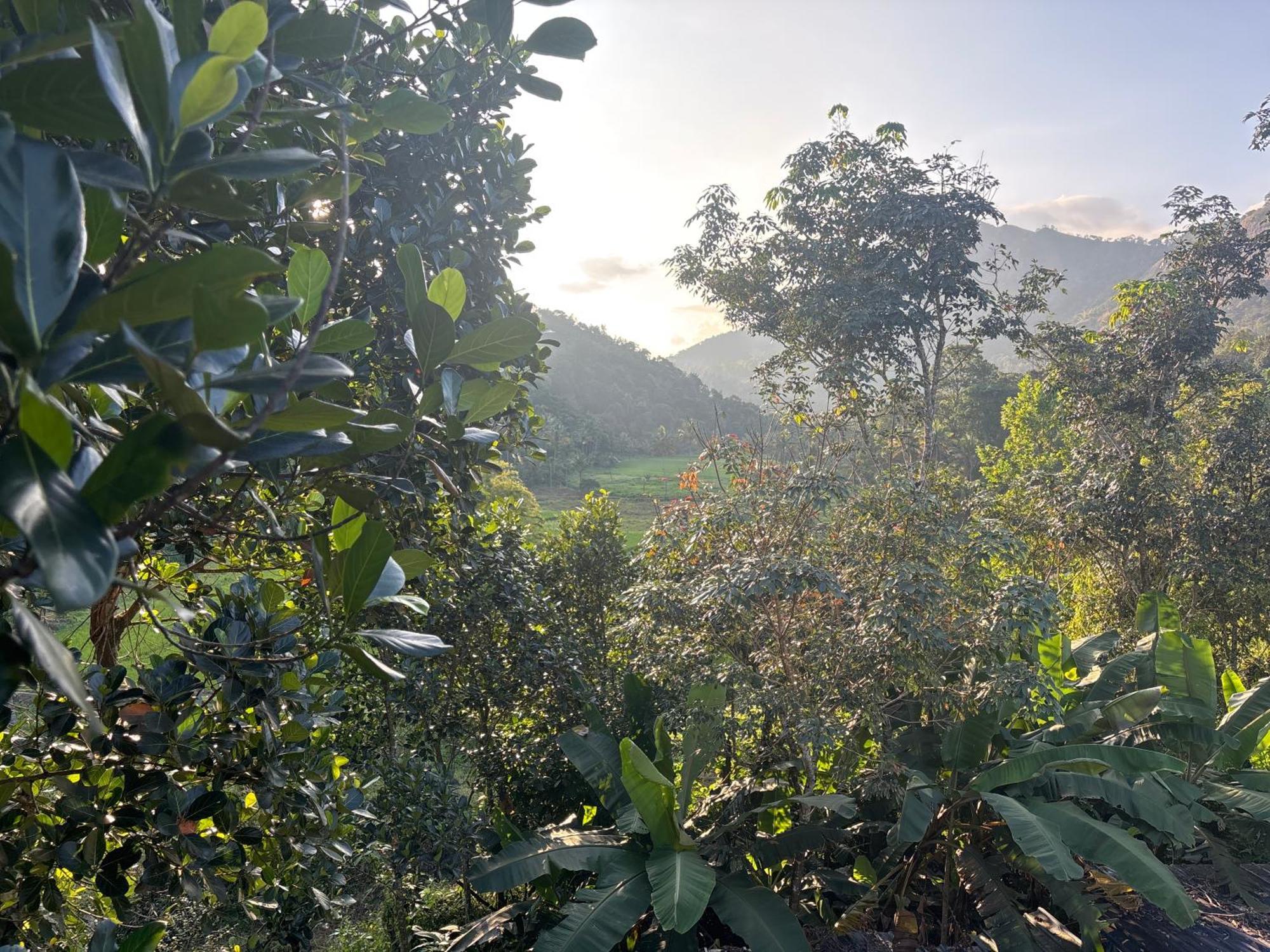 Casa Grande Munnar *