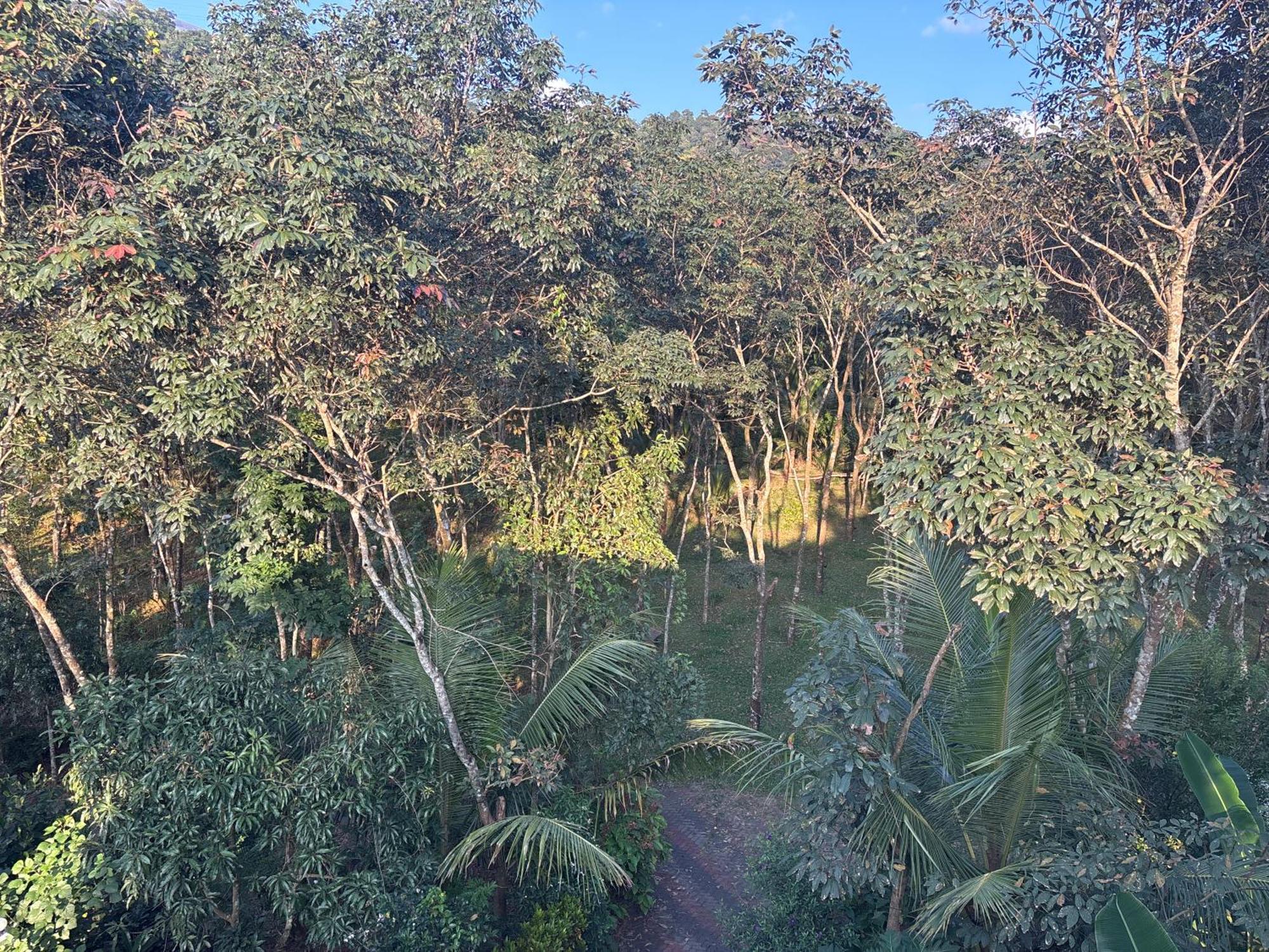 Casa Grande Munnar * Anaviratty