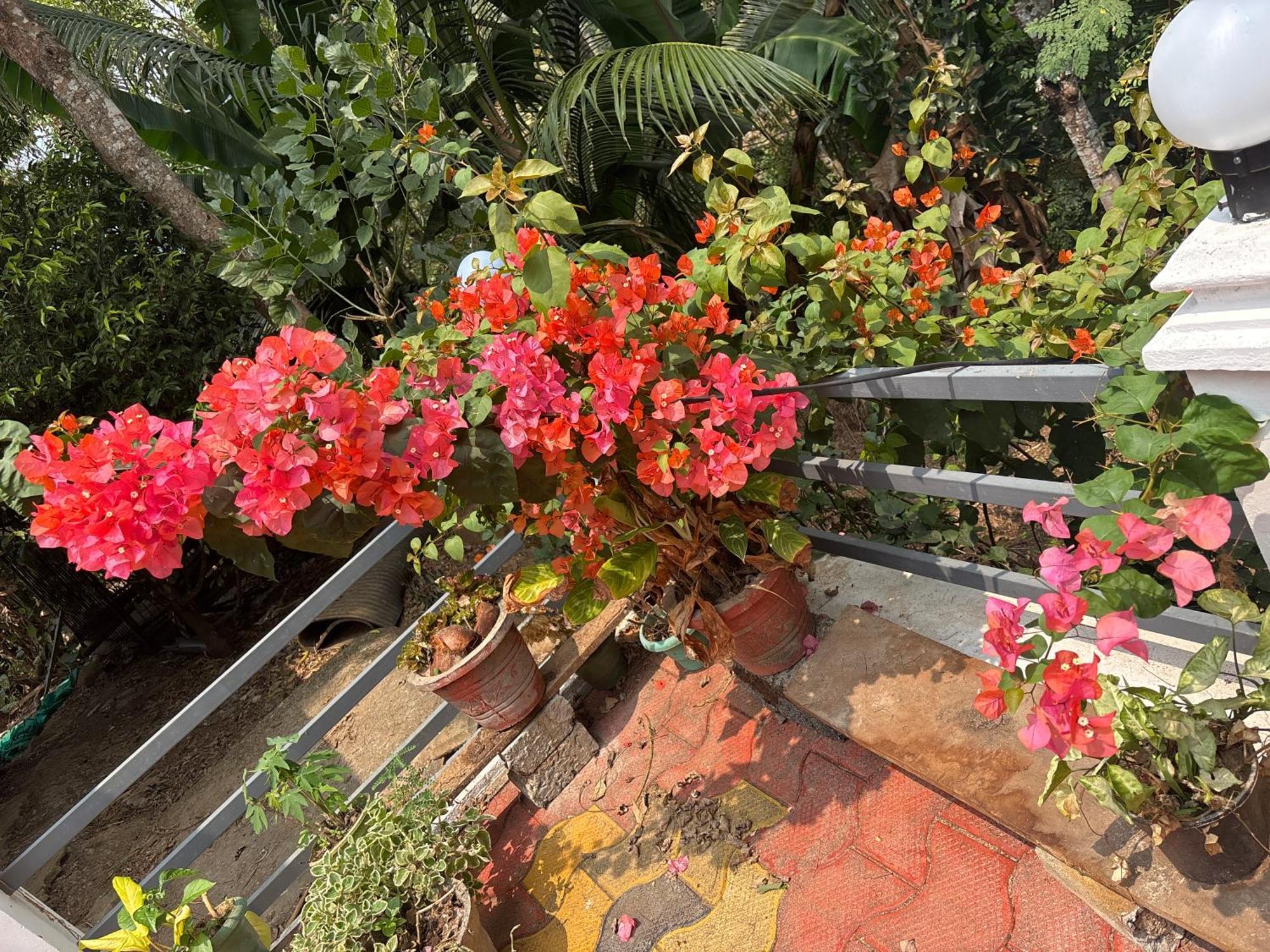 Homestay Casa Grande Munnar