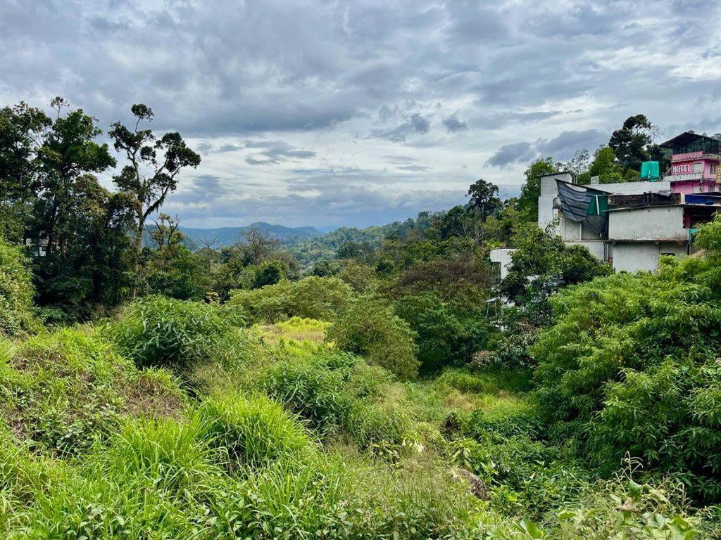 Casa Grande Munnar * Anaviratty