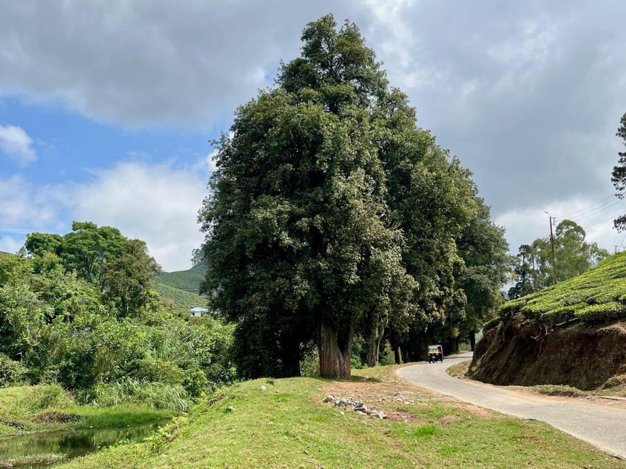 Casa Grande Munnar * Anaviratty