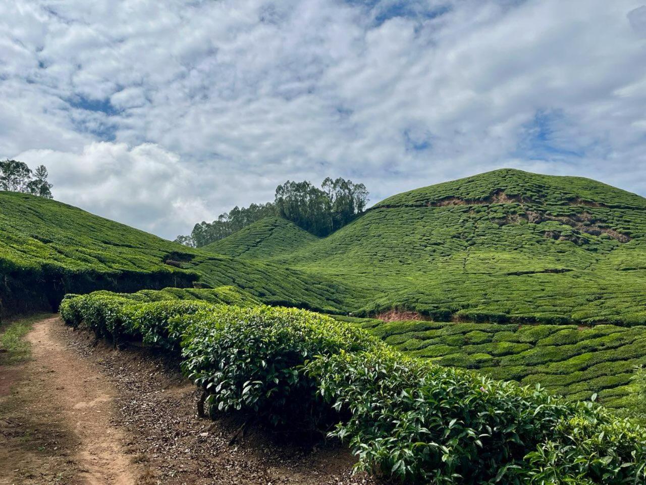 Casa Grande Munnar Anaviratty