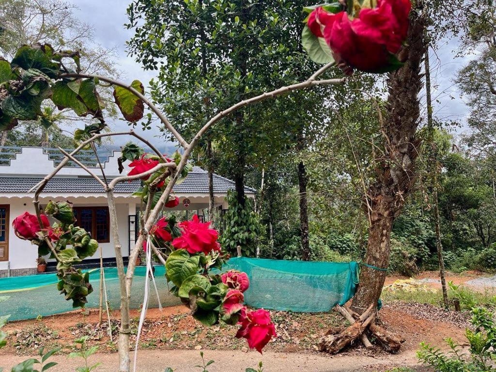 Casa Grande Munnar *