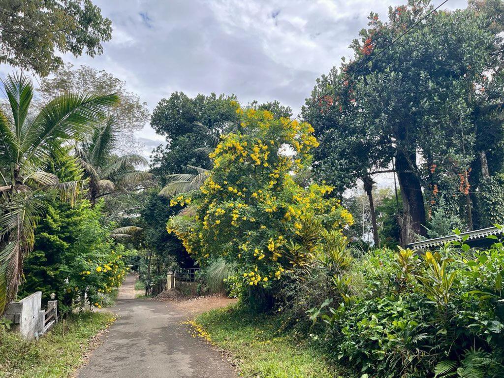 Homestay Casa Grande Munnar