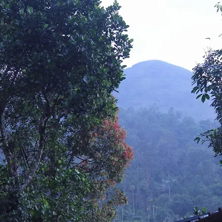 Casa Grande Homestay Anaviratty Munnar Exterior photo