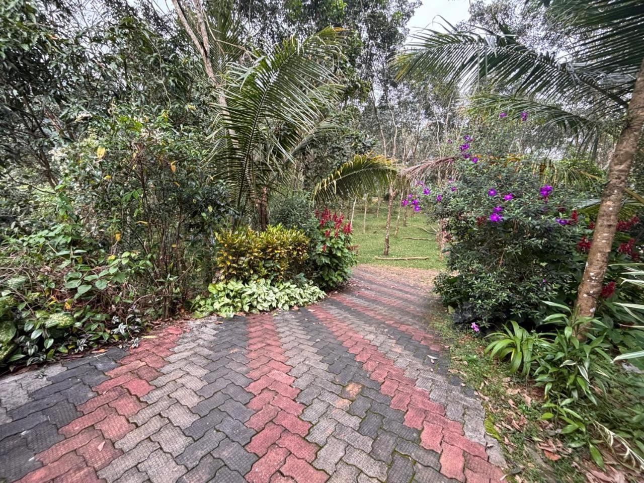 Casa Grande Munnar Anaviratty