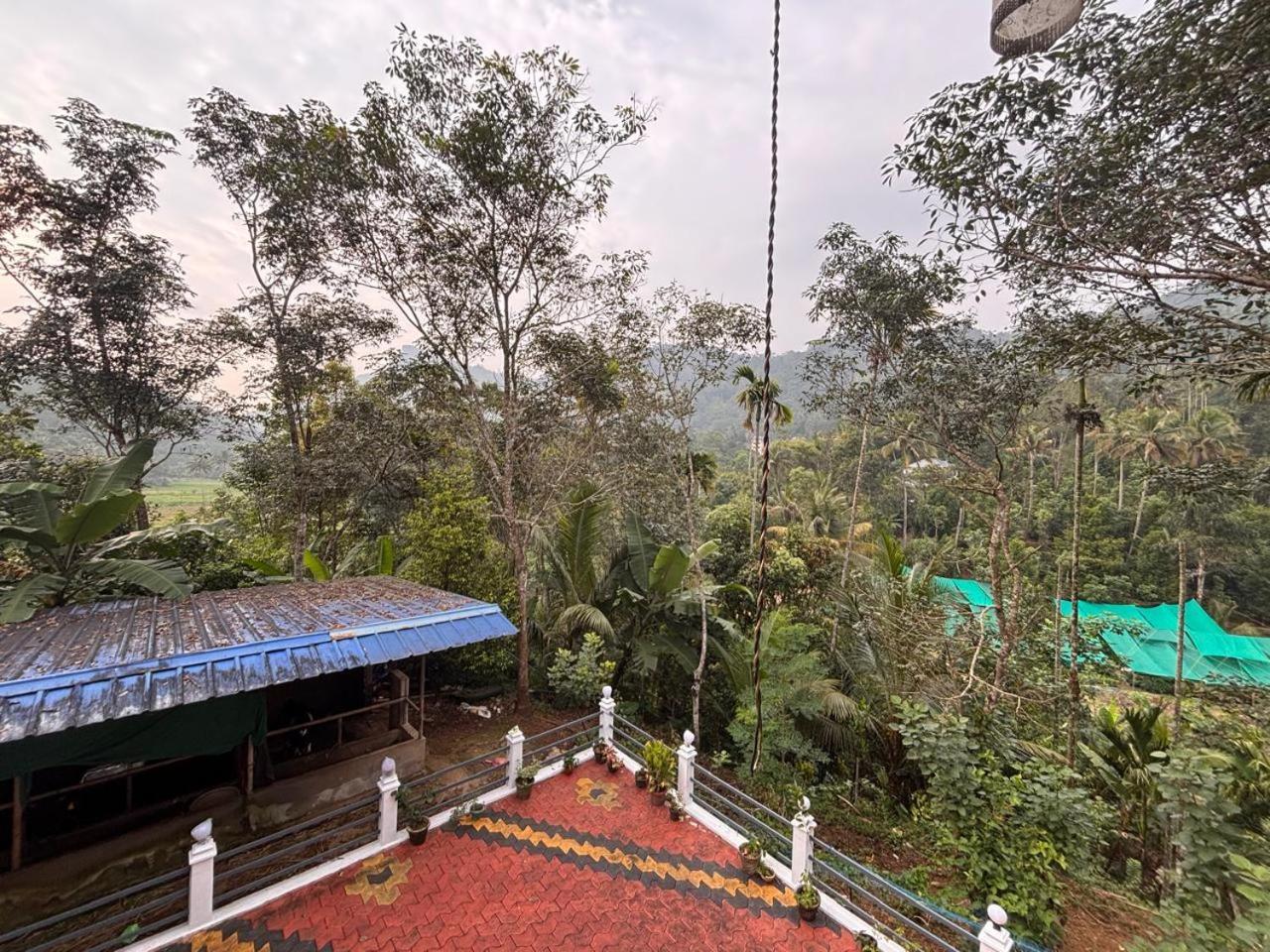 Casa Grande Munnar * Anaviratty