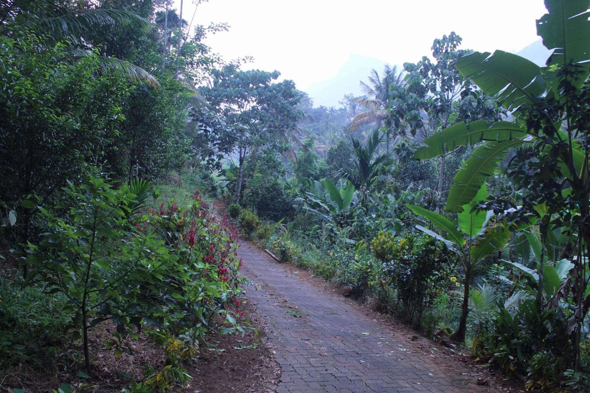 Homestay Casa Grande Munnar *
